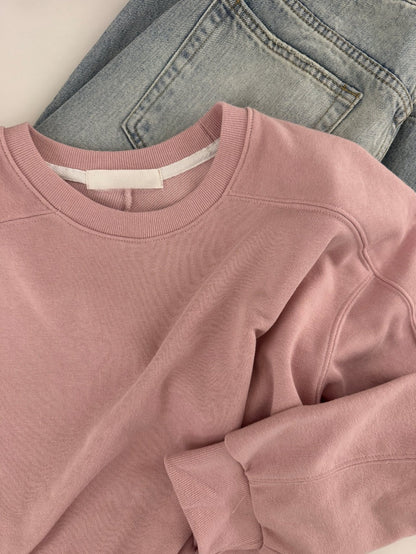 🌿 26SS Panel Line Sweatshirt