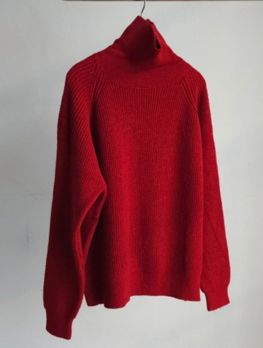 ❄️ NEW WINTER COLLECTION ❄️ [Hacci Soft Turtleneck Knit]