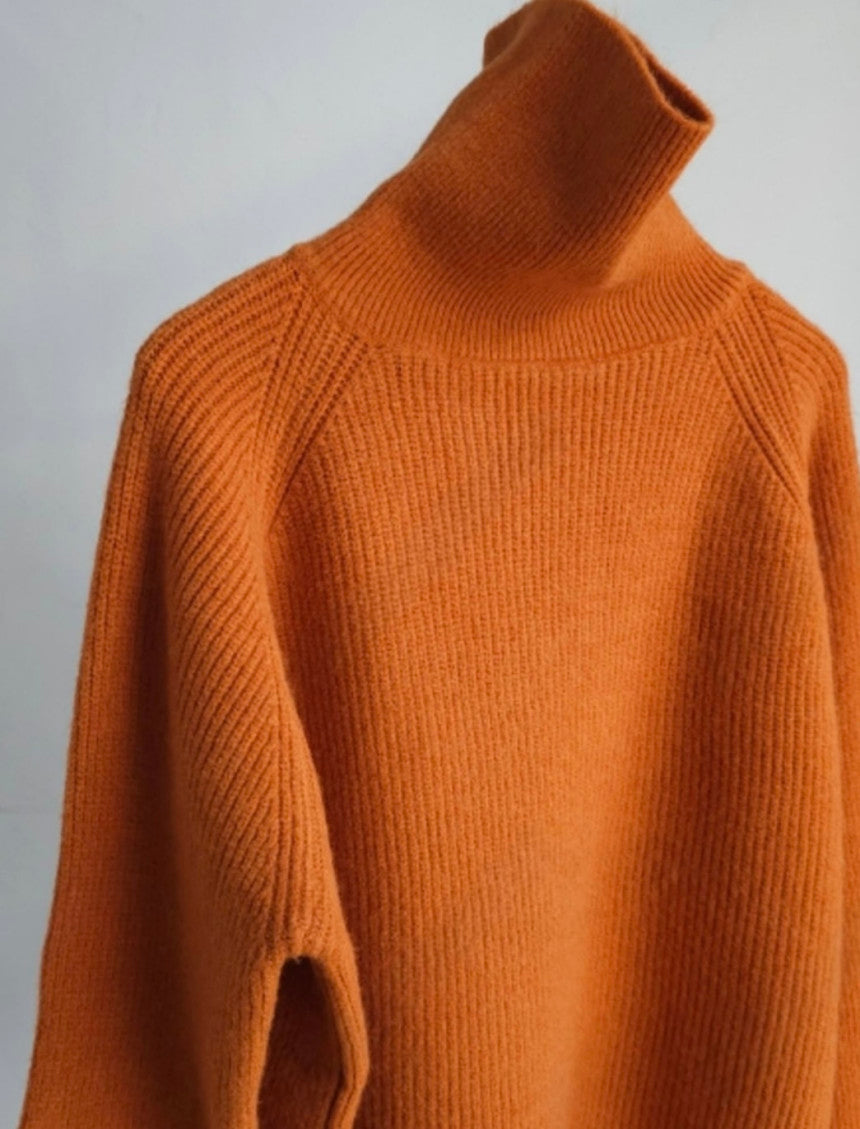 ❄️ NEW WINTER COLLECTION ❄️ [Hacci Soft Turtleneck Knit]